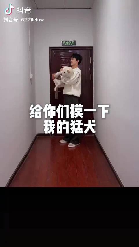 磊子麦麦携小北拿铁出镜庆元宵