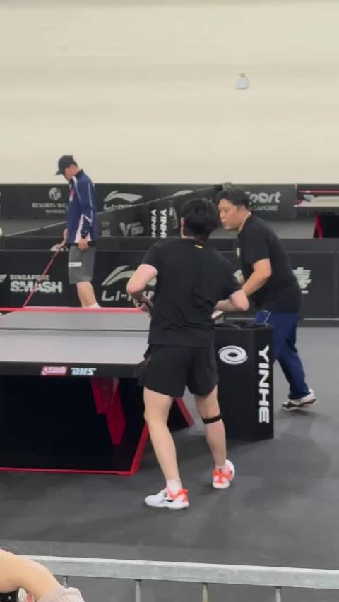 王楚钦场下十年功场上显锋芒