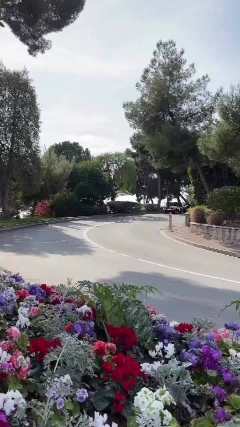 哇～法拉利F1车手勒克莱尔与Alexandra Saint Mleux结婚了！祝福乐扣！