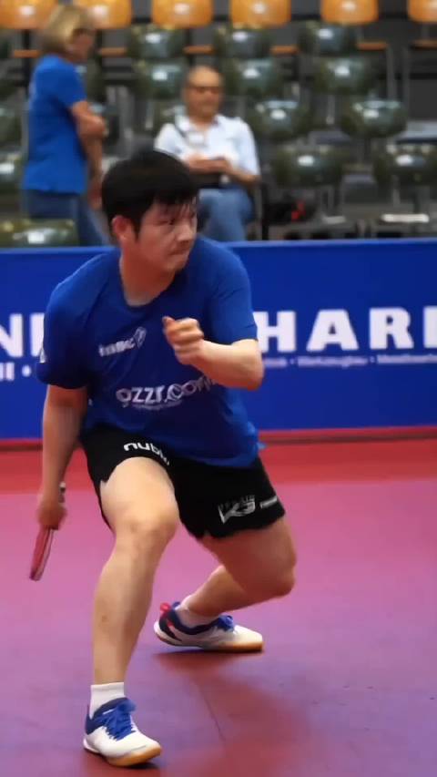 樊振东获洛杉矶奥运资格赛席位，归队成关键