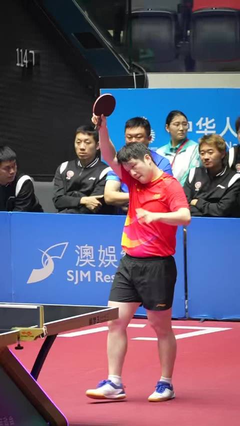 王励勤称樊振东回归事宜仍在沟通