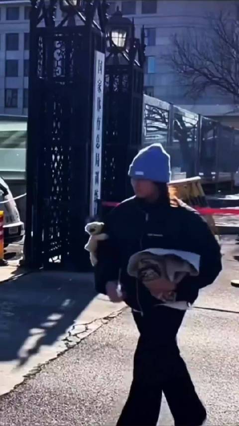 全红婵休整半年后归队，现身体育总局