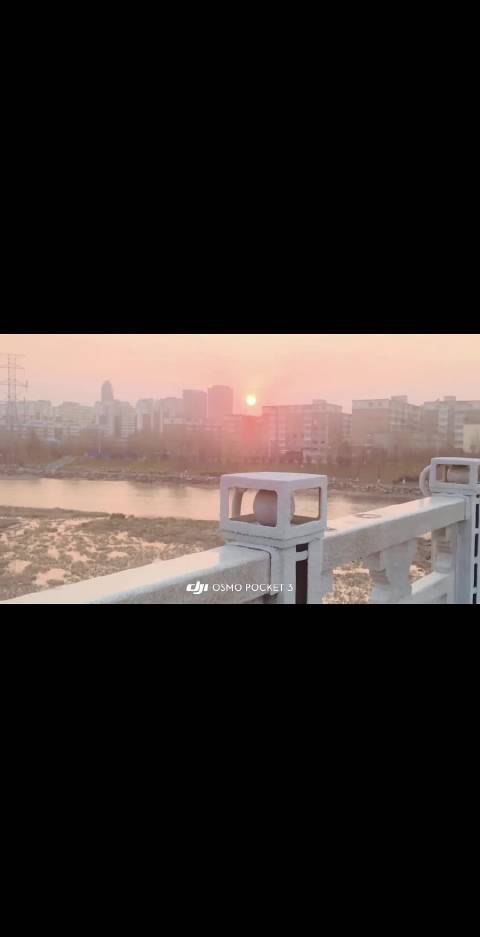 终于找到最适合的配乐了 我就是甜菜！