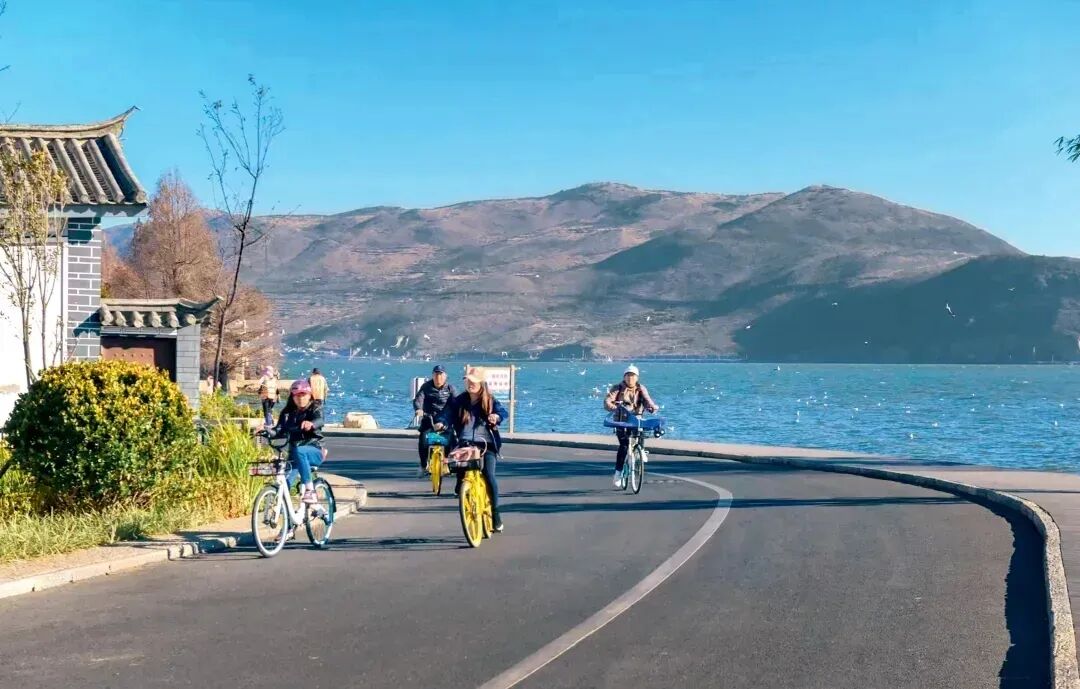 �ο��ڶ�����̬�ȵ������С�����ȫ ��