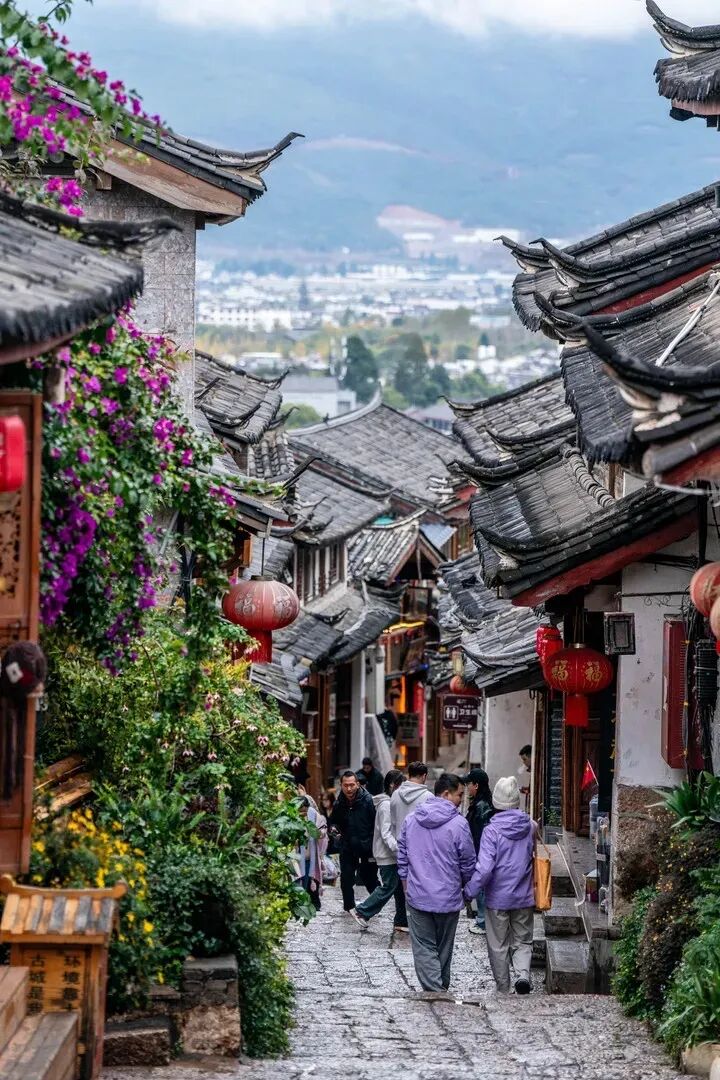 �ο��������ų����档�»������ ���� ��