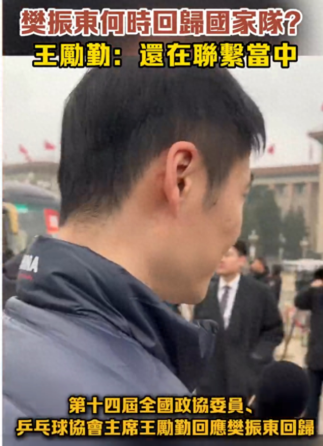 王励勤称正联系樊振东归队！已退世排432天 T0级超巨驰援王楚钦？