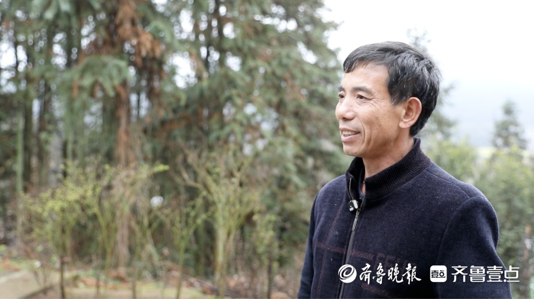 探针 | 县委书记走红之后