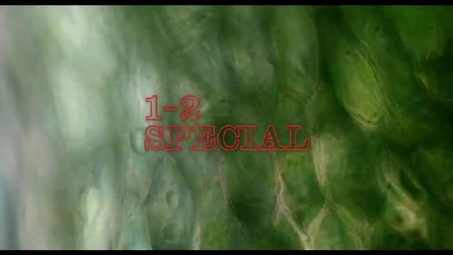 梁朝伟新片寂静的朋友发北美预告，五月上映