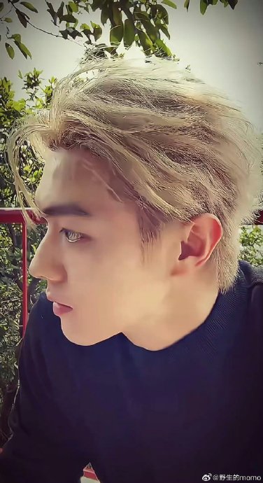 许凯在直播中提到的“看北极光”承诺，粉丝反响如何？