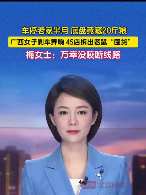 车停老家半月，底盘竟藏20斤粮
