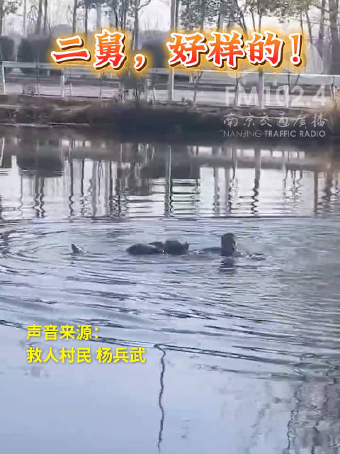 二舅，好样的！