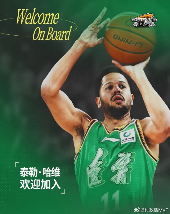 辽篮冲刺季后赛，新援到位伤病突围，杨鸣布局三大支点