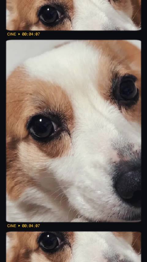 童，给你看我的小可爱