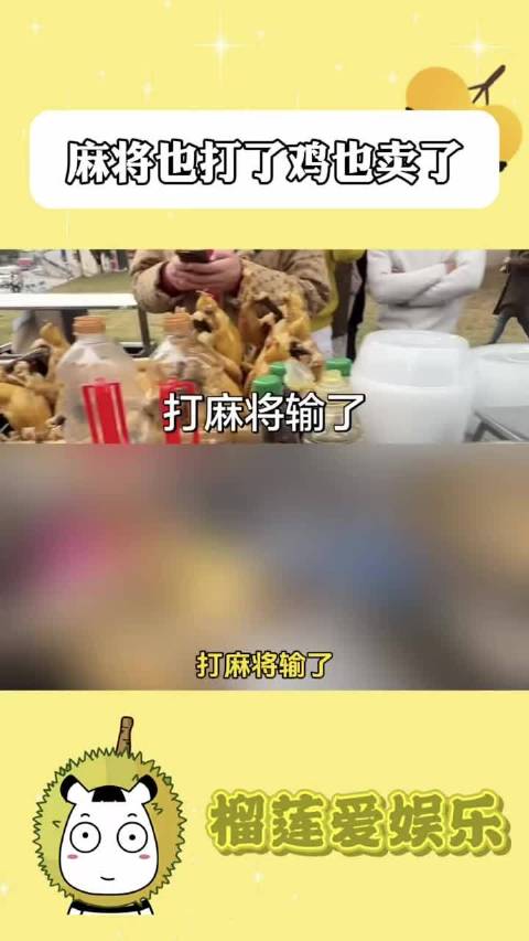 麻将也打了鸡也卖了！