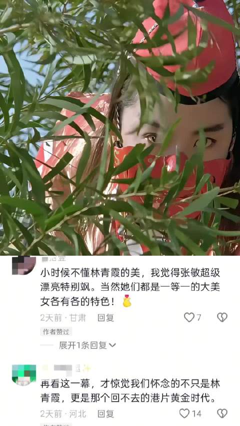 怀念林青霞与港片黄金时代