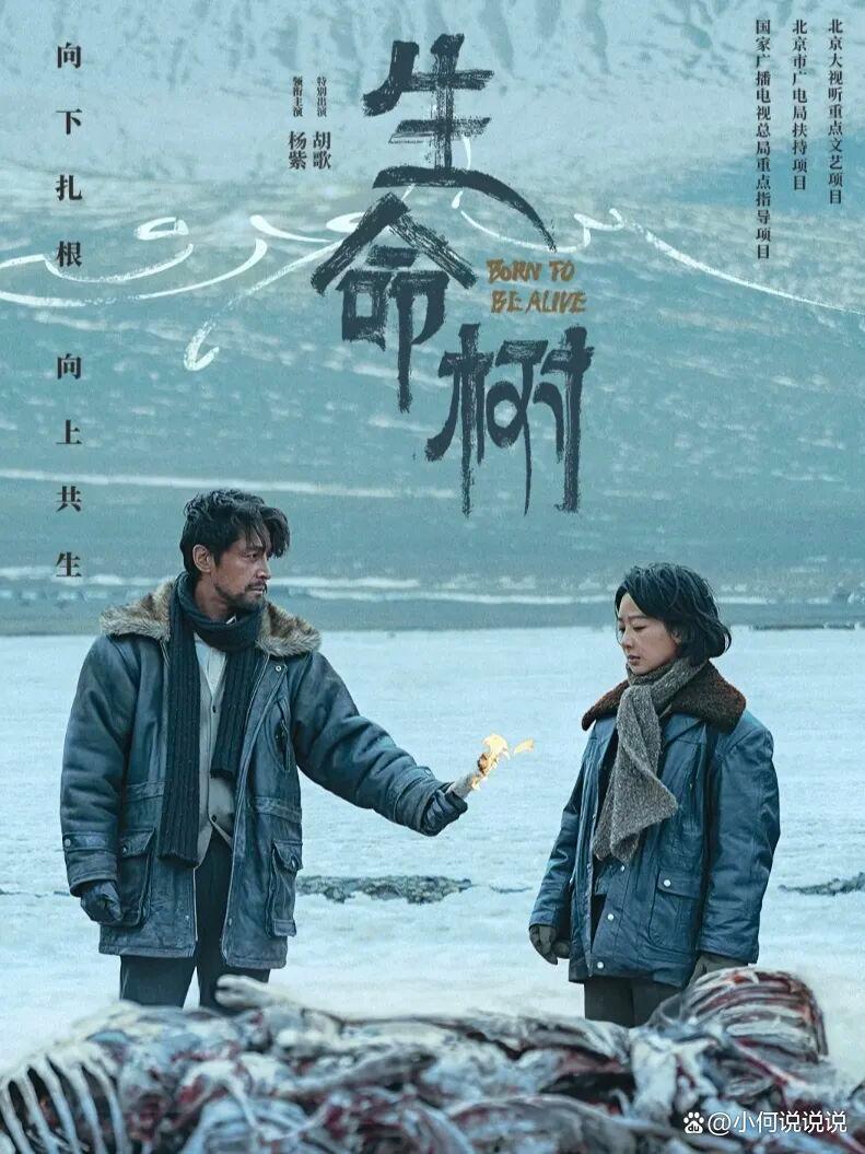 杨紫、胡歌、李光洁主演《生命树》定档!现实生态题材,2026年度爆剧预订!