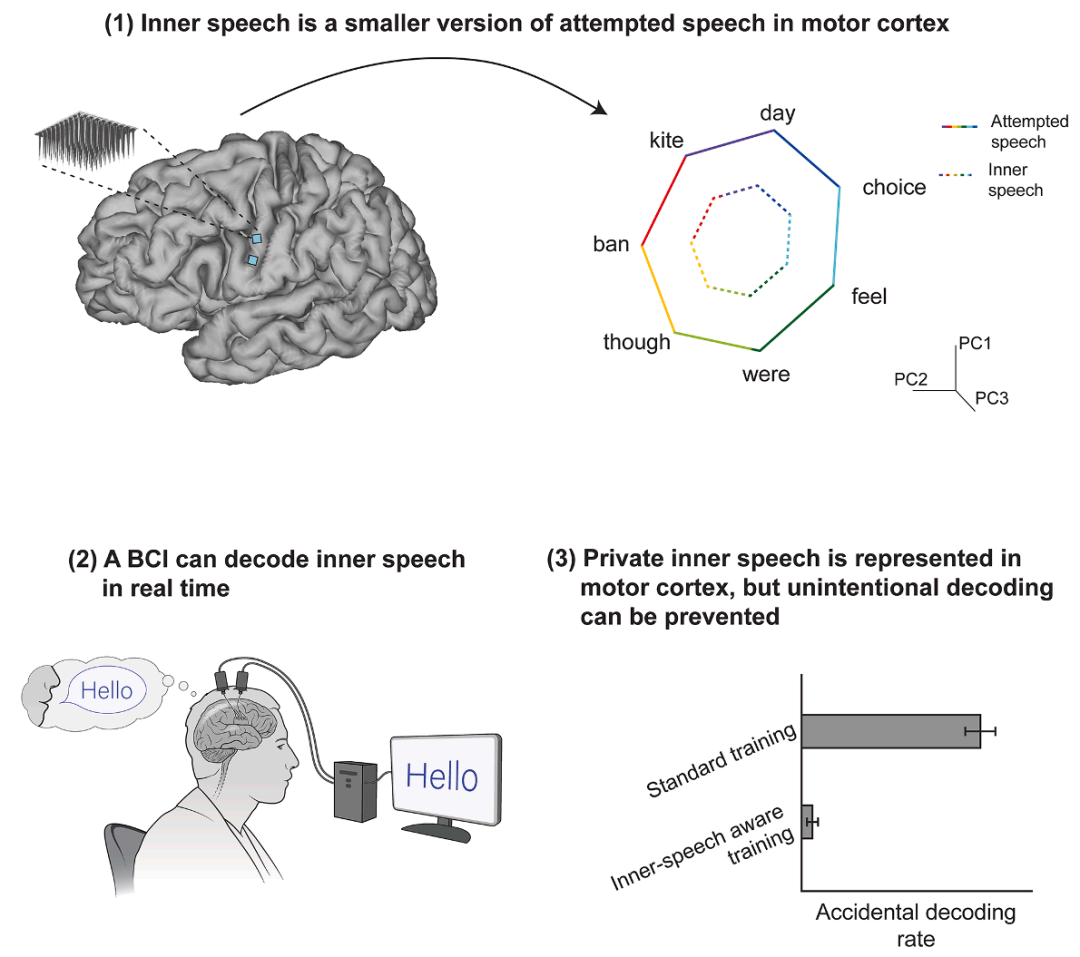 重磅!Cell最新发布:脑机接口读取内心语言,准确率达74%