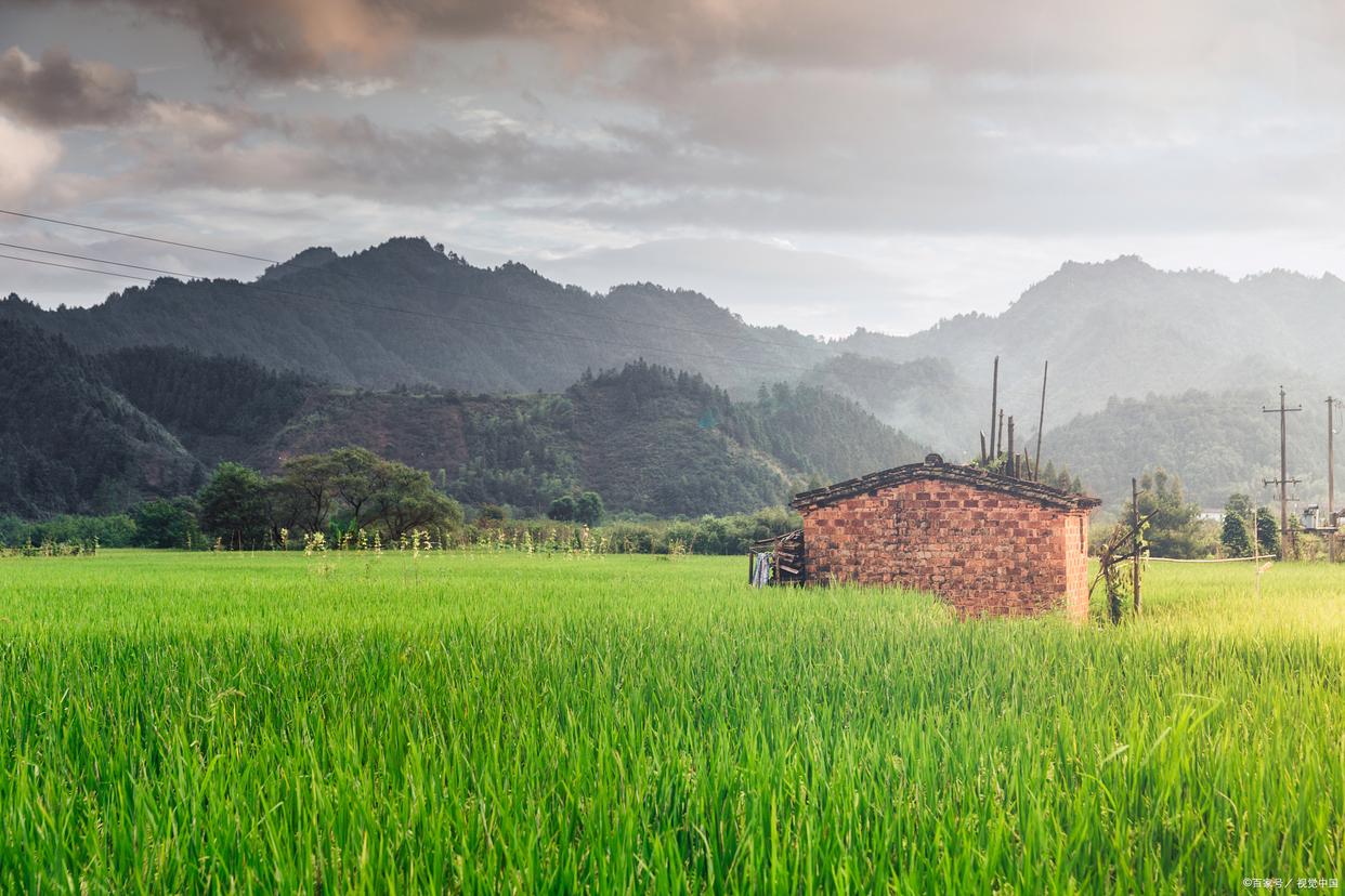 农村养老金大改!试点新规!每人每月1000元!农民能领退休金吗?