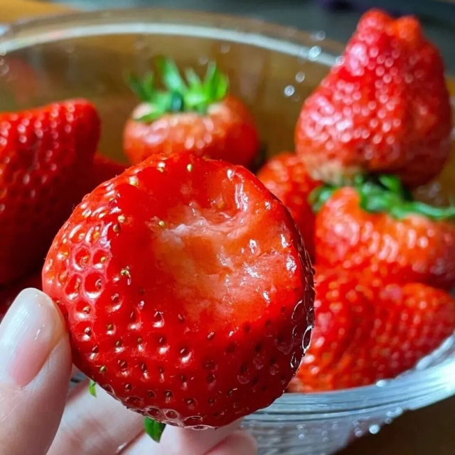 安徽合肥：草莓+烧饼+贡鹅！长丰这“三件套”也很香