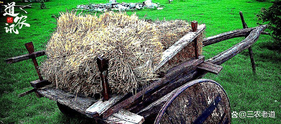 2024年农民养老金最新消息!