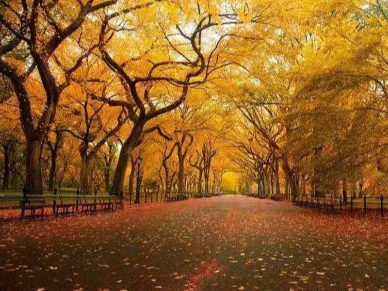 小沈阳女儿沈佳润闯韩,单曲首周销量佳