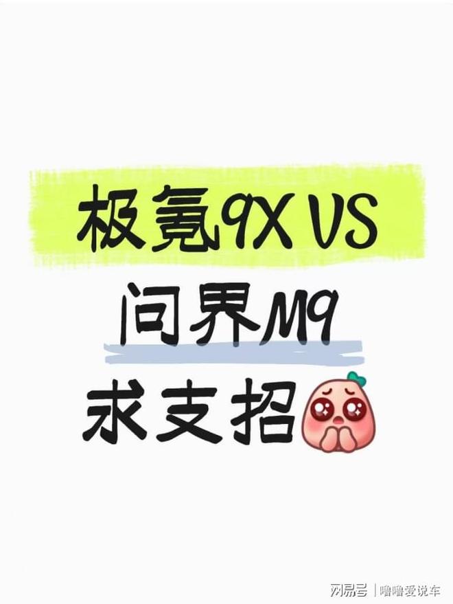 极氪9X和问界M9二选一，求支招