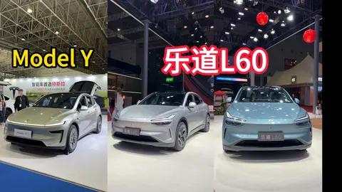 乐道L60、Model Y春运高速补能大比，1000km冬季实测，乐道赢麻了