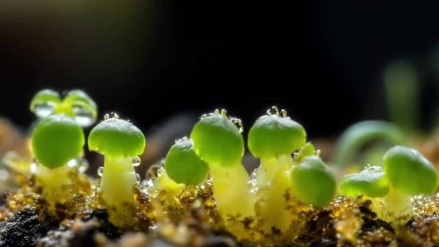 心怀感恩拥抱生活，善良勇敢照亮人生