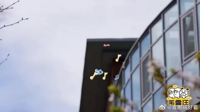 原来明星也追星！李雪琴见白宇赶紧跑，满脸娇羞太搞笑