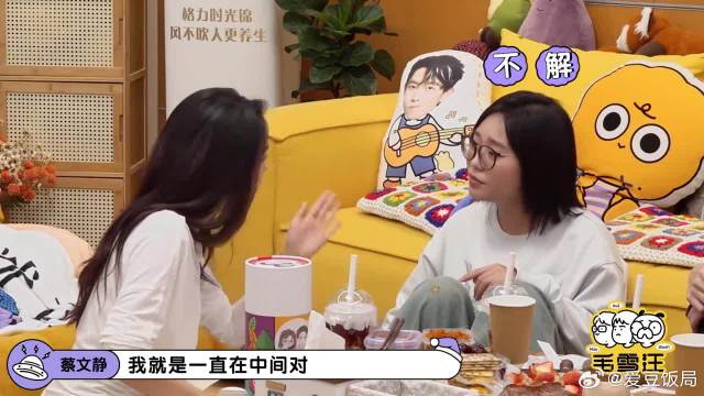 蔡文静爆料帮丁禹兮要檀健次门票，在中间传话仿佛传声筒，笑死了