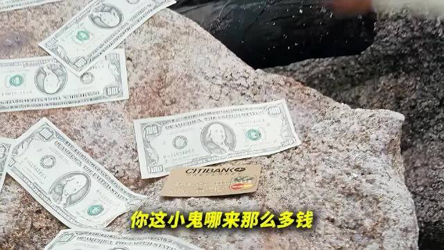 赌神2深度解析虎落平阳顶级护航