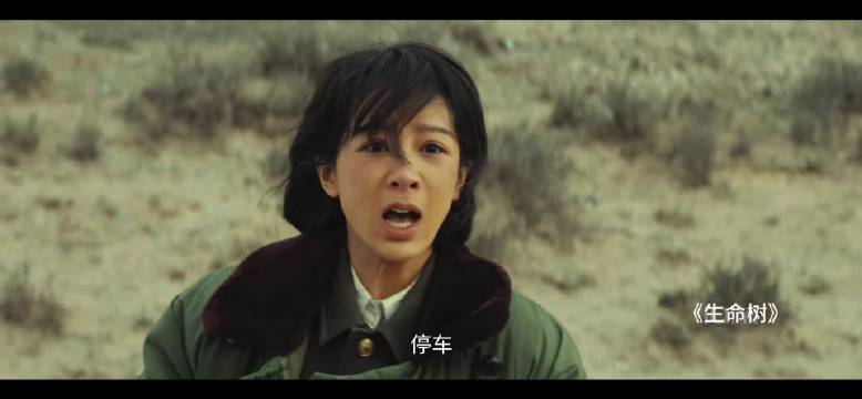 《生命树》多杰失踪引风格突变，巡护反腐双线揭露生态人性