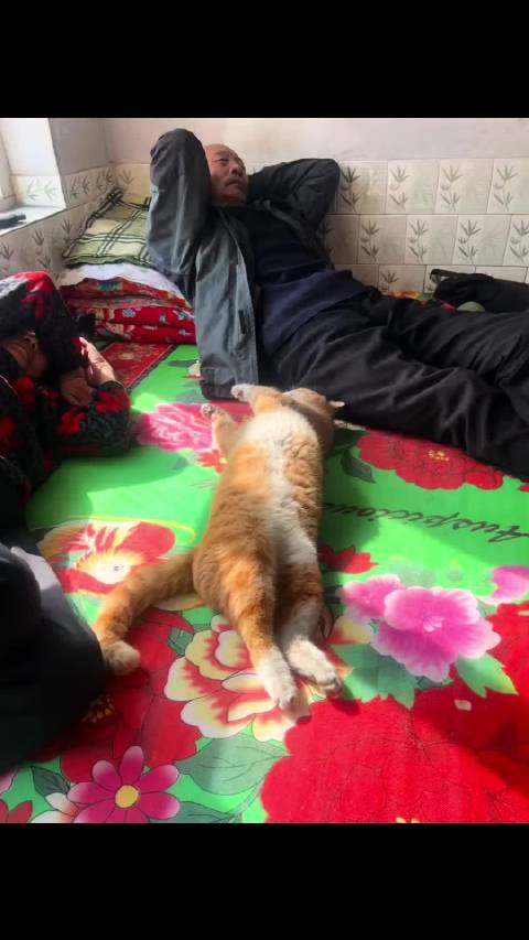 愿你在这个夜晚放下所有的烦恼，享受宁静的夜晚，晚安！