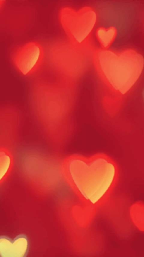 南阳日报对话汉画馆讲解员李娜展现奋进她力量