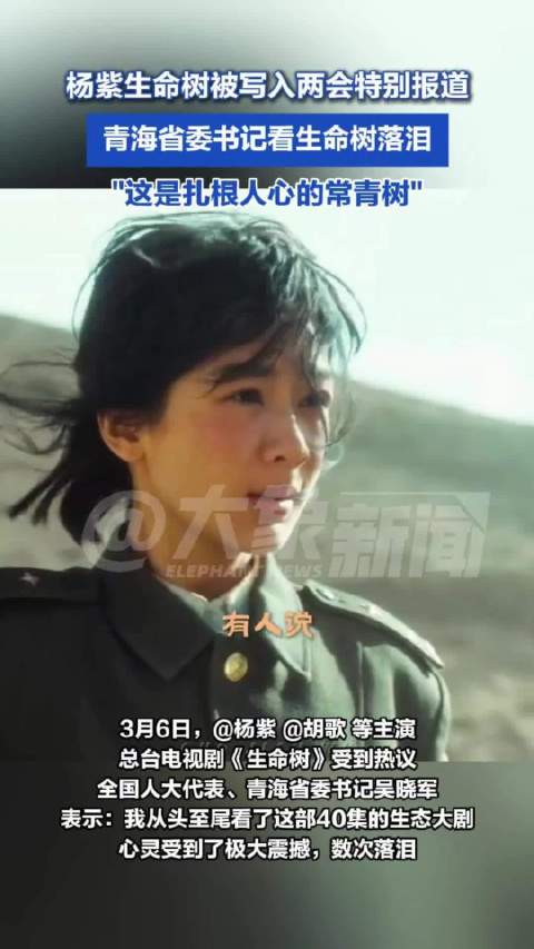 杨紫生命树被写入两会特别报道：青海省委书记看生命树落泪
