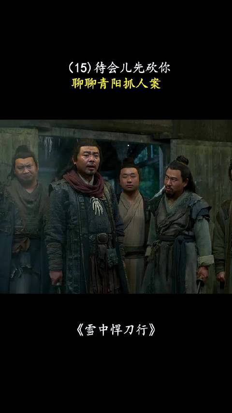 雪中悍刀行：待会儿先砍你，聊聊青阳抓人案！