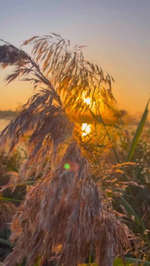 蓝天大海森林治愈疲惫心灵