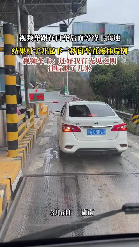视频车跟在白车后面等待上高速，结果杆子升起下一秒白车直接往后倒