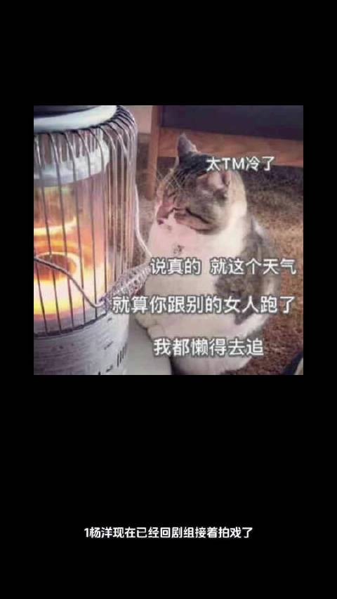 杨洋复工拍戏，周杰伦怀念前任，何超莲窦骁感情破裂，辛芷蕾团队要求明确站位