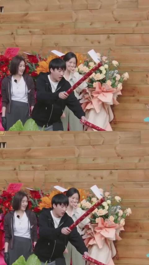 几个人真的适合去演一场家庭剧！王鹤棣 白鹿 沈月 秦岚 亲爱的客栈