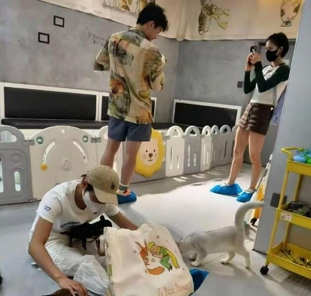 全红婵陈芋汐逛宠物店曝光！婵宝教小狗拜年，师姐撸狗乐乐拍照