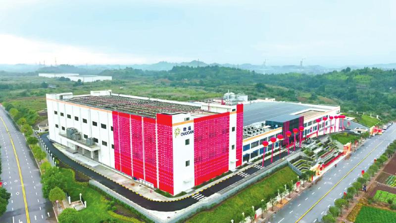 四川欧福蛋业（资阳雁江）生产基地。