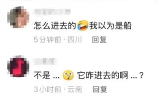 山东一网友买的八爪鱼“越狱”进车里，找了三天未果，车主崩溃向4S店求助，座椅和扶手都拆了，维修人员：快被熏吐了