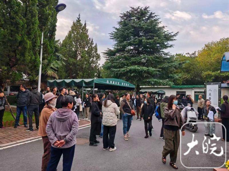 合肥魏阿姨患癌离世!曾为救流浪狗卖房，临死前担忧600只狗生活