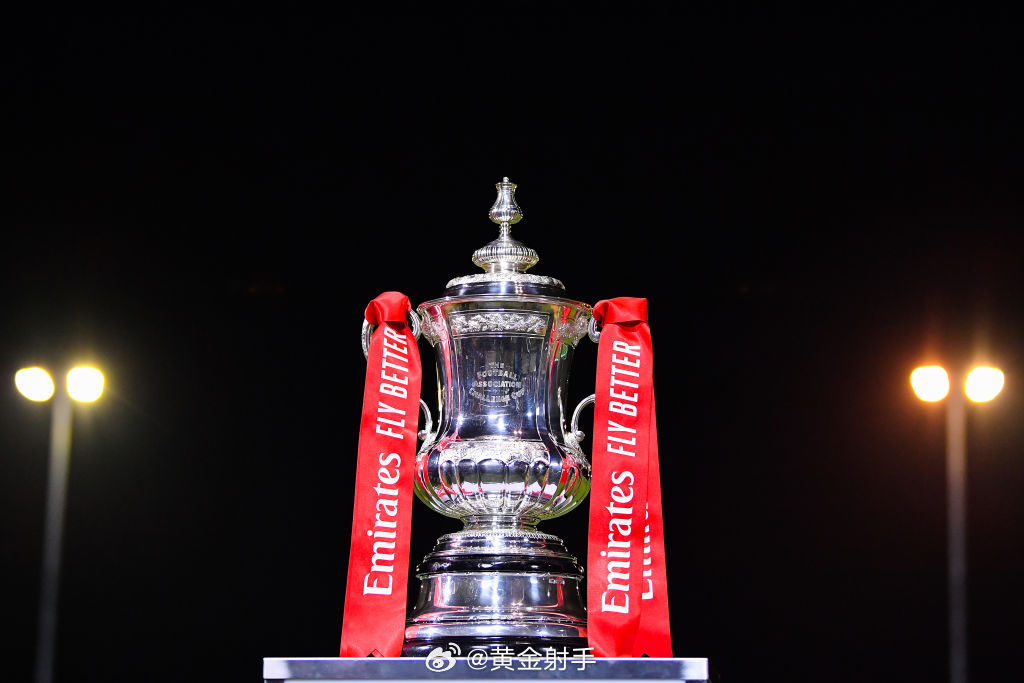 曼城客战纽卡赛前，瓜迪奥拉谈足总杯重要性、罗德里回归