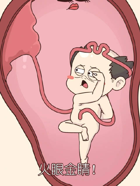 宝宝：妈，我只是玩嗨了，没别的意思