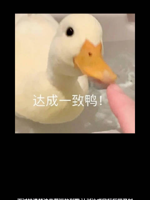 陈都灵营销美貌计划转变方向，于正选角坚持个人审美