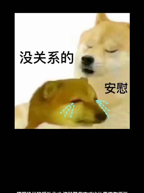 小S女儿转战泡菜国市场，魏大勋体贴陪伴秦岚，汪东城避谈炎亚纶，金晨重获《明川有知夏》女主