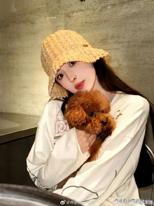 古力娜扎粉丝对这次恋情传闻有什么样的反应和诉求？