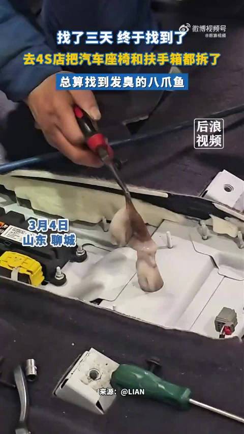 钻车内3天八爪鱼差点把师傅熏吐